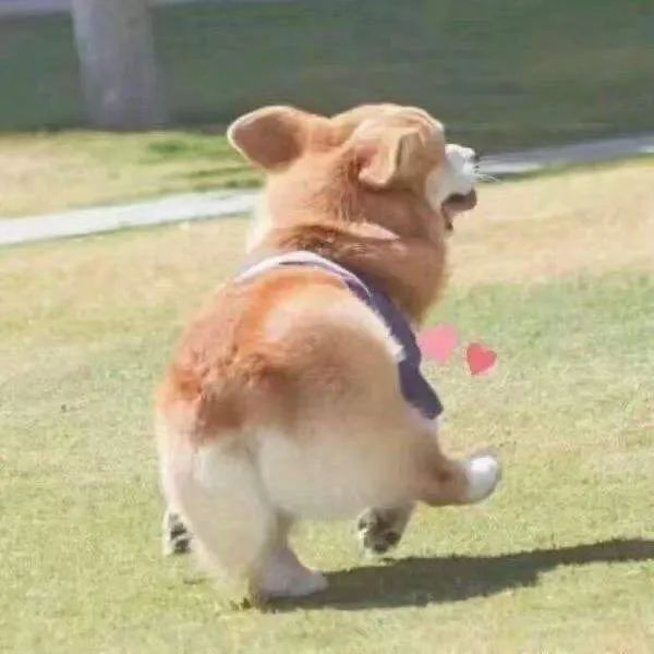 640.jpg